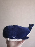 Morito La Ballena - Tortukita