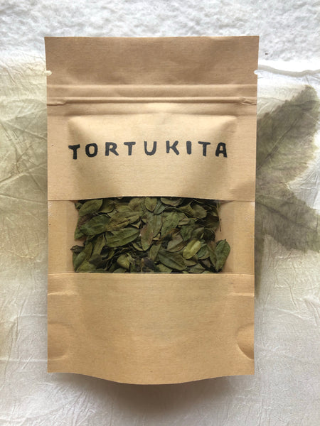 Escarcha del Bosque - Hojas Verdes - Tortukita